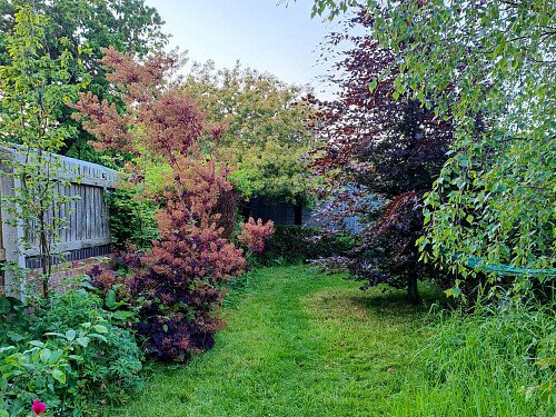 The Common - Filming Locations Locations Direct -29