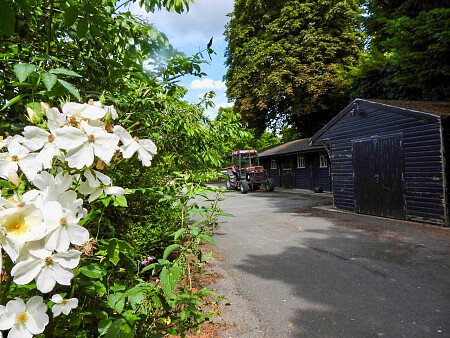 Aston - Filming Locations Locations Direct -25