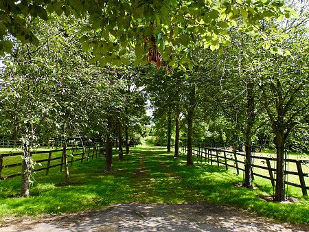 Aston - Filming Locations Locations Direct -26