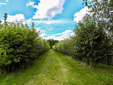 Aston - Filming Locations Locations Direct -28