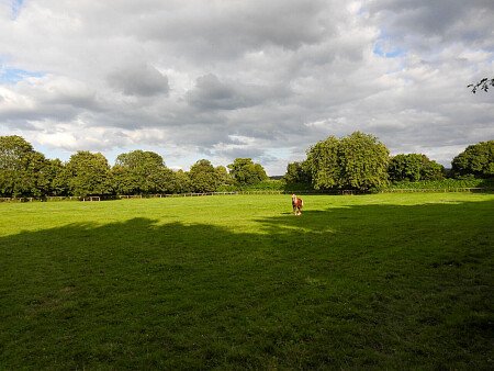 Aston - Filming Locations Locations Direct -32