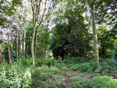 Aston - Filming Locations Locations Direct -33