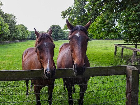 Aston - Filming Locations Locations Direct -38