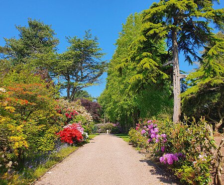 Capesthorne Hall - Filming Locations Locations Direct -36