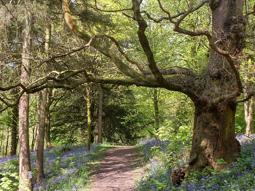 Capesthorne Hall - Filming Locations Locations Direct -46