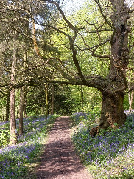 Capesthorne Hall - Filming Locations Locations Direct -46