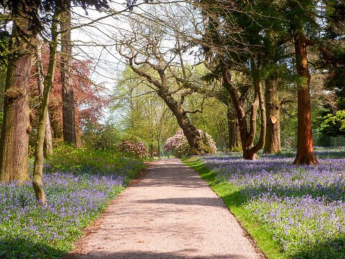 Capesthorne Hall - Filming Locations Locations Direct -45