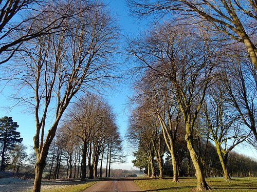 Image for Location 2248