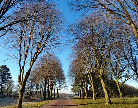 Capesthorne Hall - Filming Locations Locations Direct -47