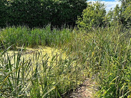 Halfpenny house- Filming Locations Locations Direct -80