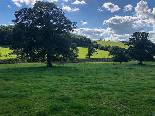 Period Wallpaper - Filming Locations Locations Direct -34