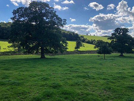 Period Wallpaper - Filming Locations Locations Direct -34