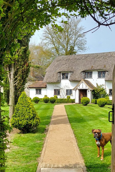 Thatched Pond - Filming Locations Locations Direct -02