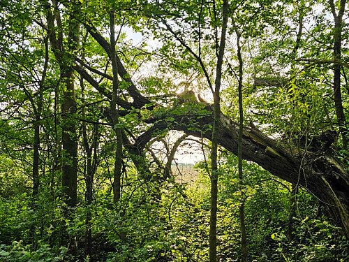 The Stable - Filming Locations Locations Direct -26