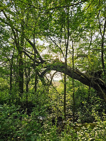 The Stable - Filming Locations Locations Direct -26