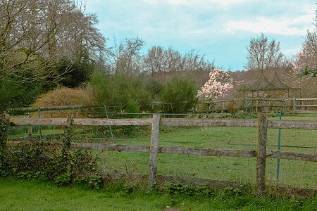 Tree Cottage  - Filming Locations Locations Direct -29