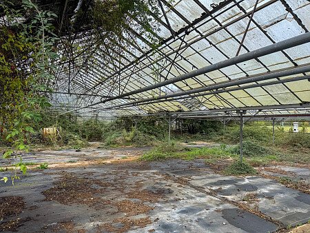 Chelmsford -  filming photoshoot location-02