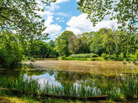Decorated high ceilings school - Filming Photoshoot Locations-38