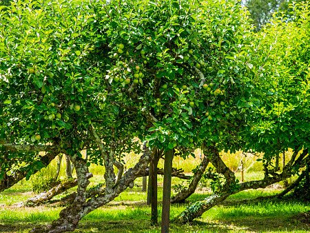 Decorated high ceilings school - Filming Photoshoot Locations-39