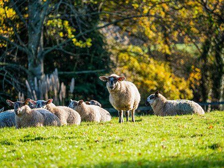 Decorated high ceilings school - Filming Photoshoot Locations-41