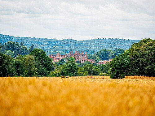 Image for Location 2294