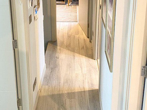 Colourful flowerbeds- London -  filming photoshoot location-11