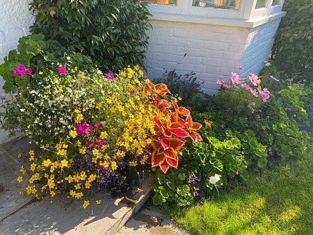 Colourful flowerbeds- London -  filming photoshoot location-24
