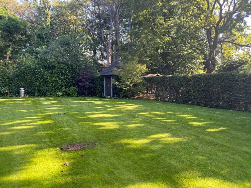 Colourful flowerbeds- London -  filming photoshoot location-30