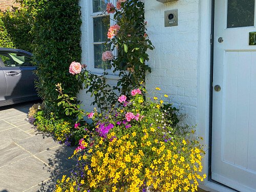 Colourful flowerbeds- London -  filming photoshoot location-32