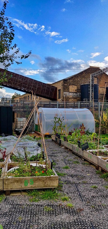 Huge graffiti art- E15  - filming photoshoot location-14