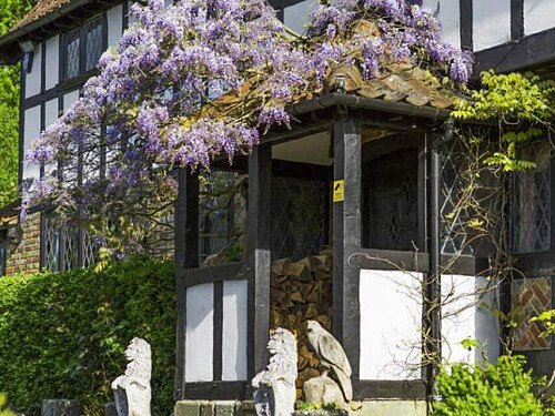 Original features- Surrey-  filming photoshoot location-29