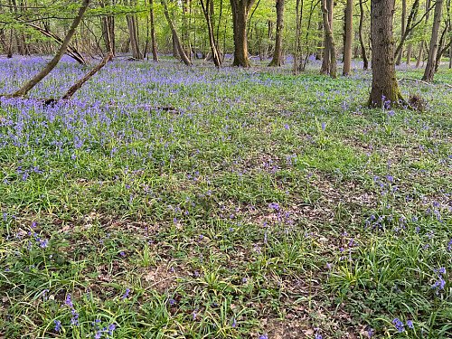 Historic brickwork-Surrey- filming photoshoot location-16