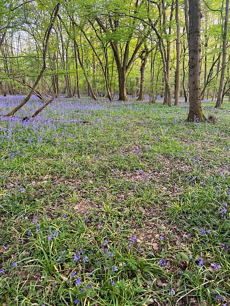Historic brickwork-Surrey- filming photoshoot location-16