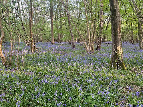 Historic brickwork-Surrey- filming photoshoot location-17