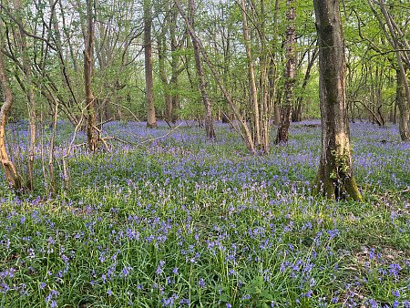 Historic brickwork-Surrey- filming photoshoot location-17