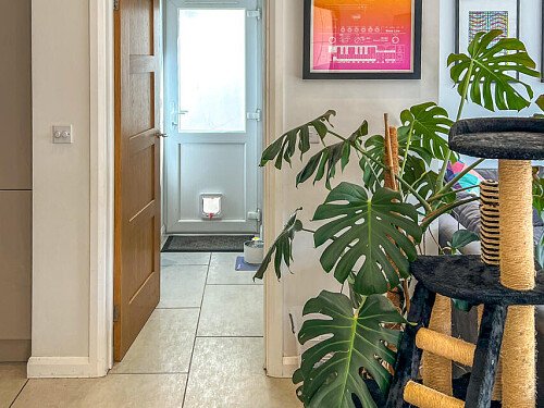 Simplemarsh -  filming photoshoot location-14