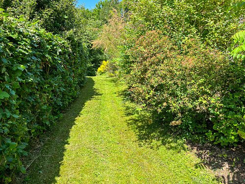 RoseC -  filming photoshoot location-44