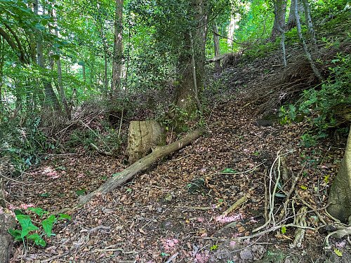 RoseC -  filming photoshoot location-45