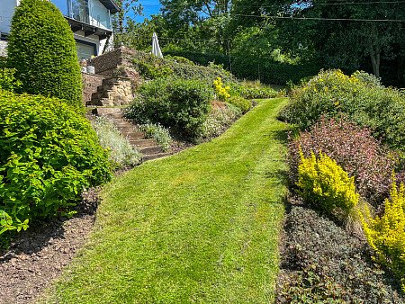 RoseC -  filming photoshoot location-46