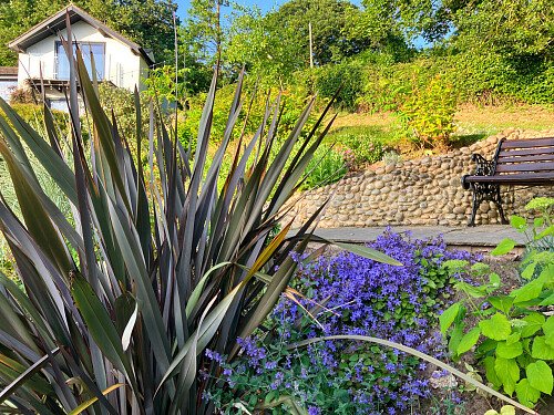 RoseC -  filming photoshoot location-50