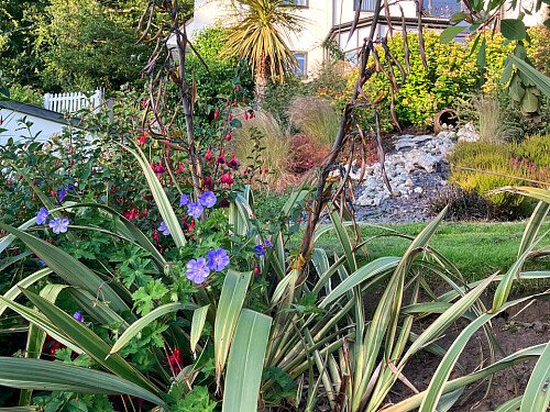 RoseC -  filming photoshoot location-51