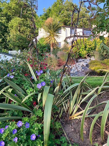 RoseC -  filming photoshoot location-51