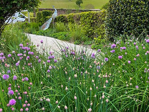 rosehill -  filming photoshoot location-23