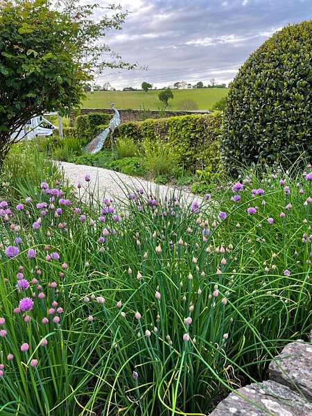 rosehill -  filming photoshoot location-23