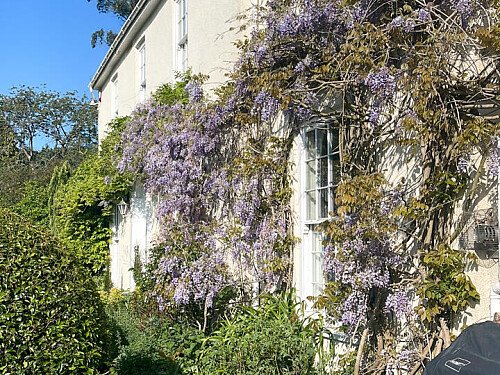 rosehill -  filming photoshoot location-26