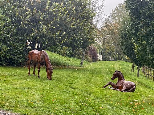 rosehill -  filming photoshoot location-42