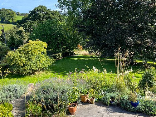 rosehill -  filming photoshoot location-44