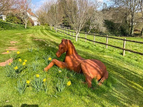 rosehill -  filming photoshoot location-43