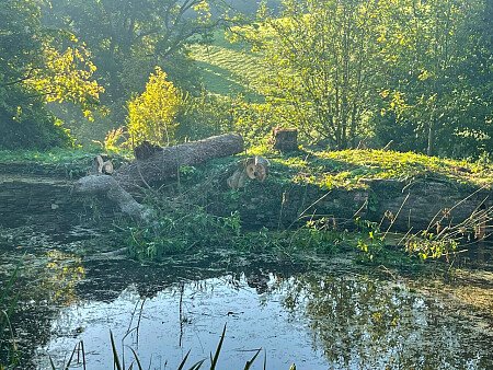 rosehill -  filming photoshoot location-48