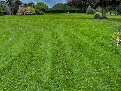 rosehill -  filming photoshoot location-47